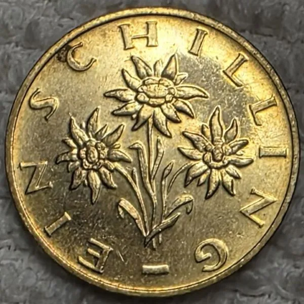 Continuing-List-To-Show-Everyones-Latest-Acquisitions