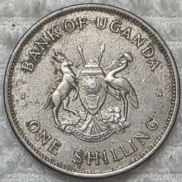 Post-Your-Volcano-And-Mountain-Coins