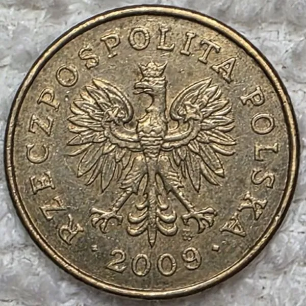 Post-Your-Coins-Representing-The-Animal-Kingdom.