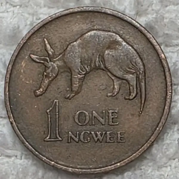 Bring-Out-Your-KM#9-Or-Y#9-Coins-For-Show-&-Tell