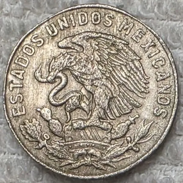 Post-Your-Coins-And-Medals-Featuring-A-Snake.