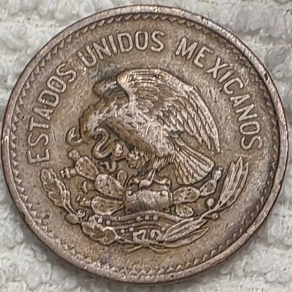 Post-Your-Coins-And-Medals-Featuring-A-Snake.