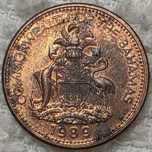 Continuing-List-To-Show-Everyones-Latest-Acquisitions