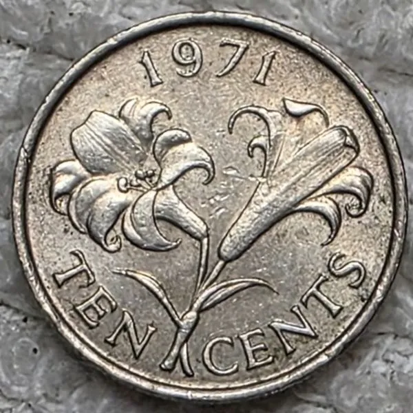 Continuing-List-To-Show-Everyones-Latest-Acquisitions