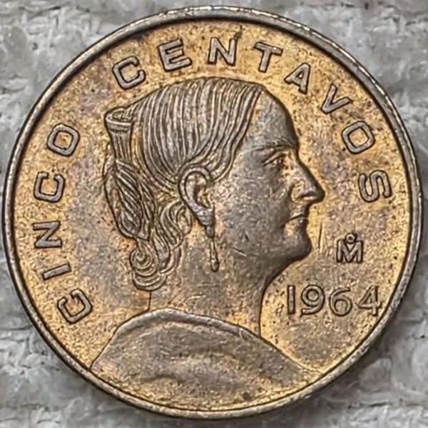Post-Your-Coins-Representing-The-Animal-Kingdom.