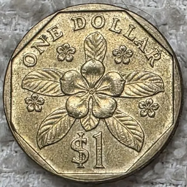 Post-Your-Coins-With-Stars