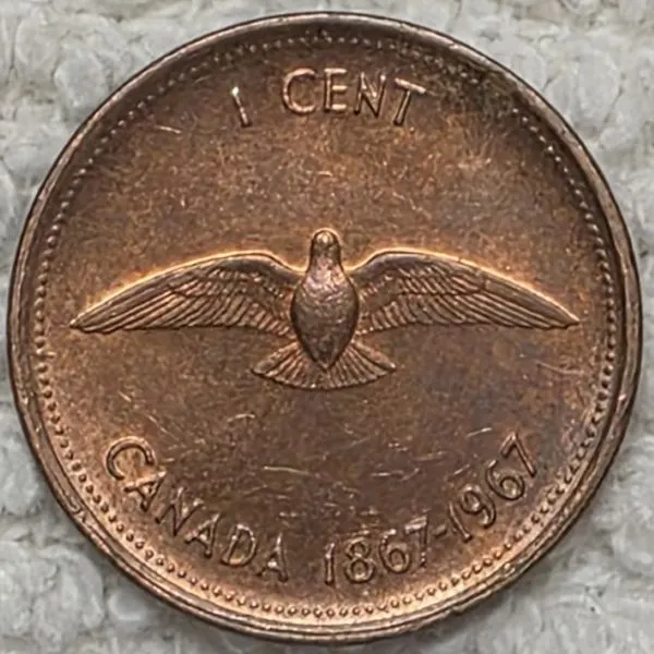 Post-Your-Coins-Representing-The-Animal-Kingdom.