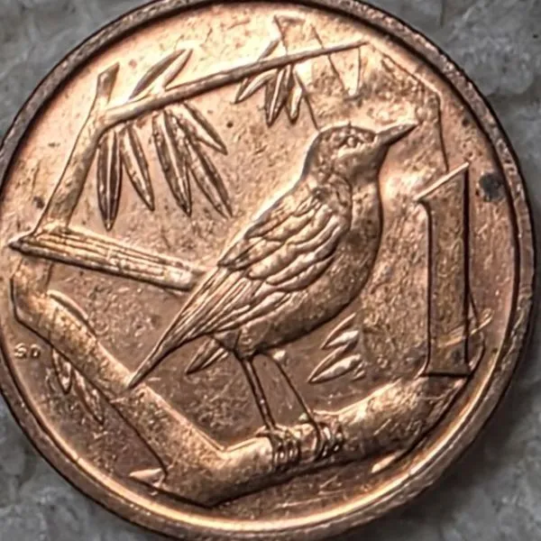 Post-Your-Coins-With-Hats