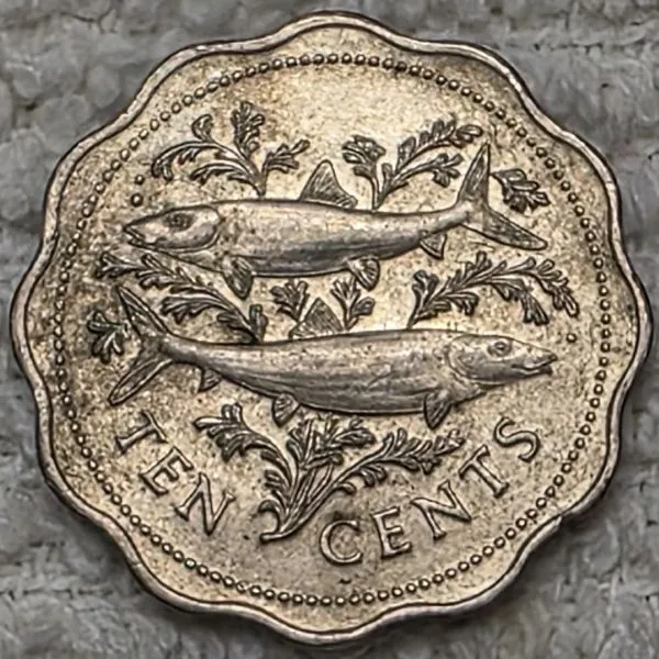 Post-Your-Coins-With-Hats