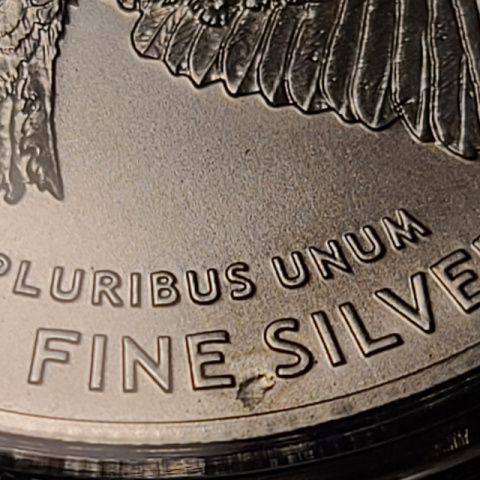 2023-ASE-Walking-Liberty-Errors