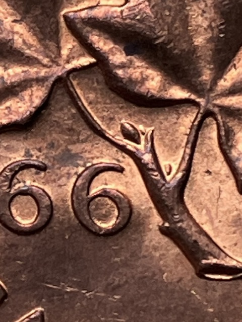 Circulated-1966-Extra-Bud-Cent
