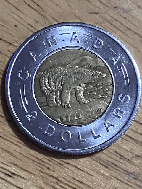 Counterfeit-Toonies-Are-Going-To-Be-A-Significant-Problem