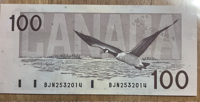 Grade-And-Value-Of-This-100$-Bird-Series-Bill?