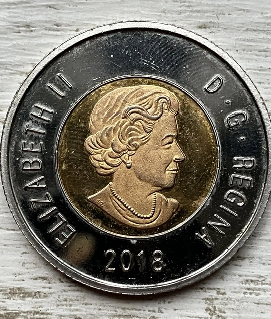 Counterfeit-Toonies-Are-Going-To-Be-A-Significant-Problem