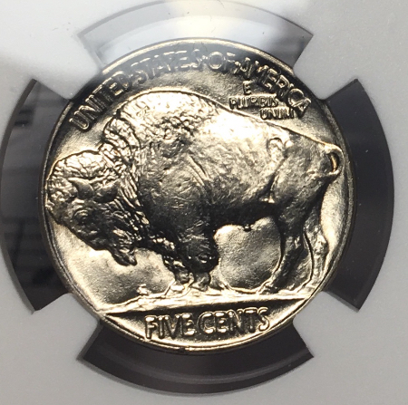1937-Buffalo-#2---You-Vs-NGC