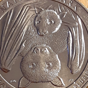 2020-W-Quarter-V75-Found-In-Change