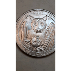 2020-P-Simona-Bat-Quarter