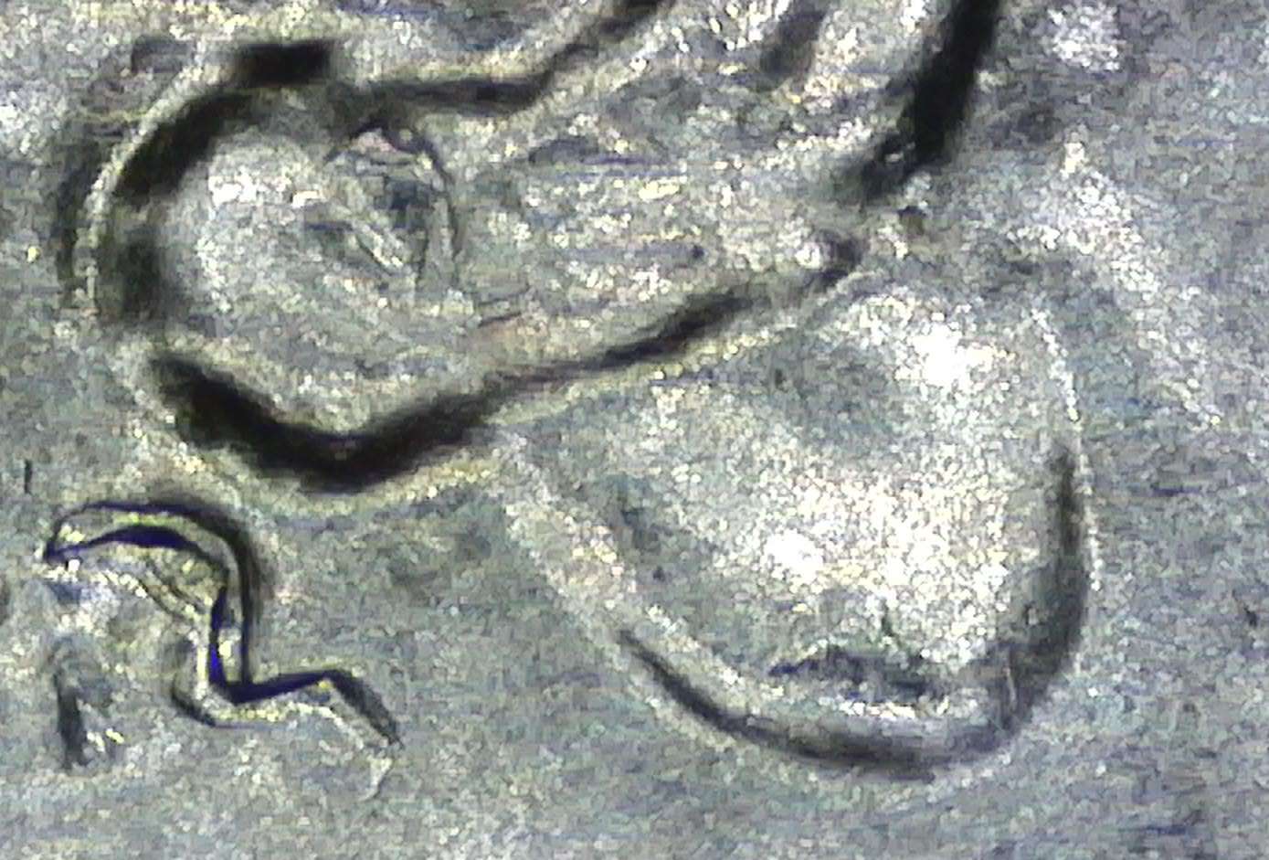 2023-Ellanor-Roosevelt-Quarter-ErrorS