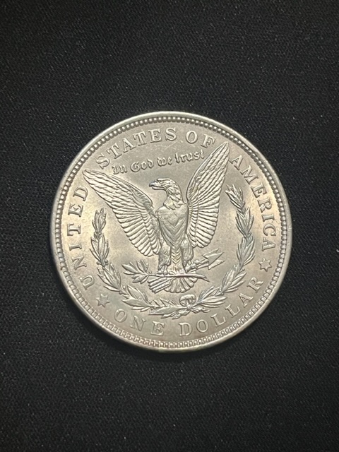 Grading-My-Compared-Morgan-Dollars