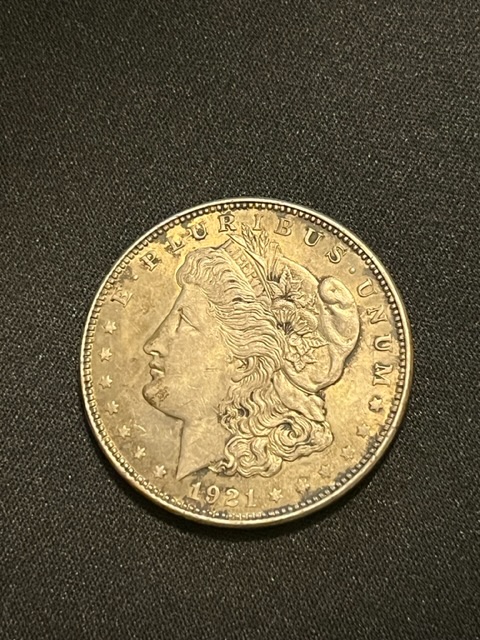 Grading-My-Compared-Morgan-Dollars
