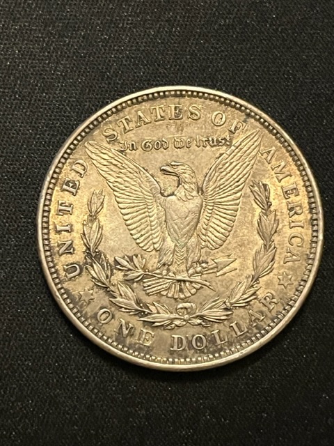 Grading-My-Compared-Morgan-Dollars