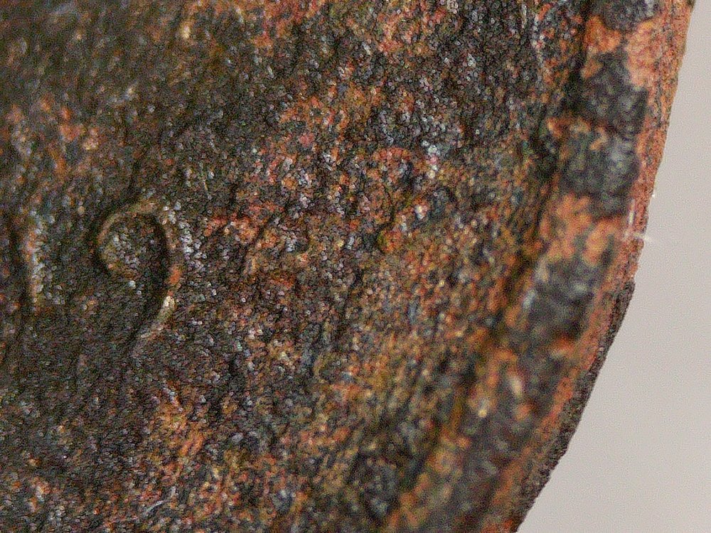 Metal-Detecting-Find---1922-No-D-LWC---Is-It-A-Lost-Cause?