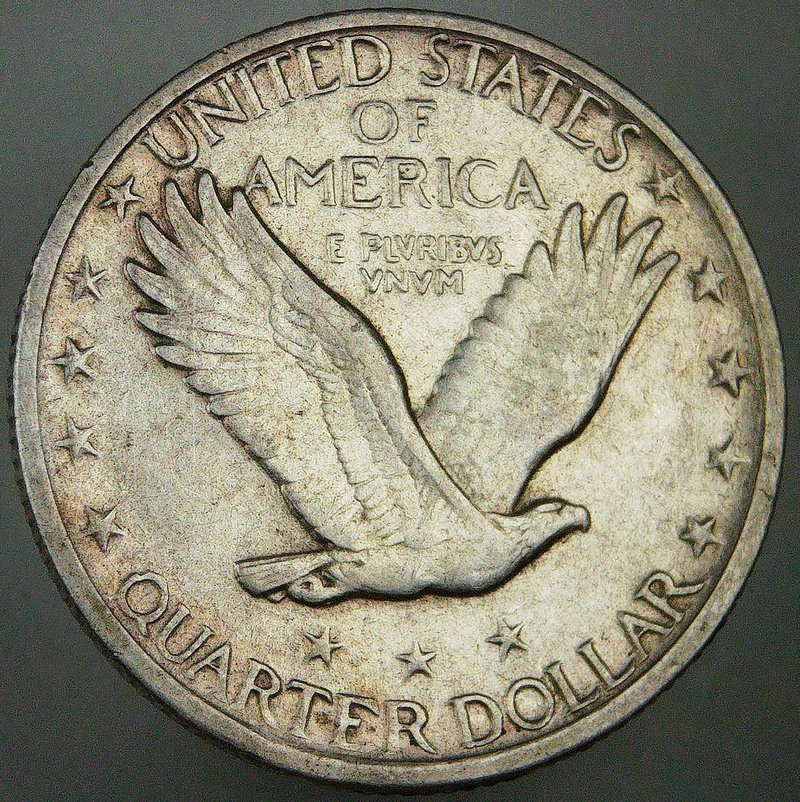 Standing-Liberty---1919-D---Question-About-PCGS