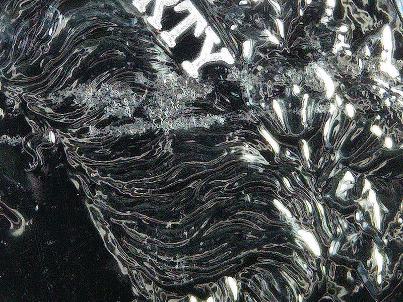 2023-Reverse-Proof-Morgan---Does-US-Mint-Have-Any-Qc?