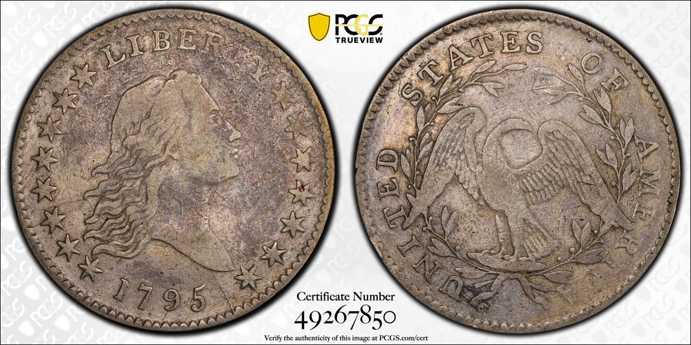 Could-I-Get-A-Few-Thoughts-On-This-1795-Flowing-Half