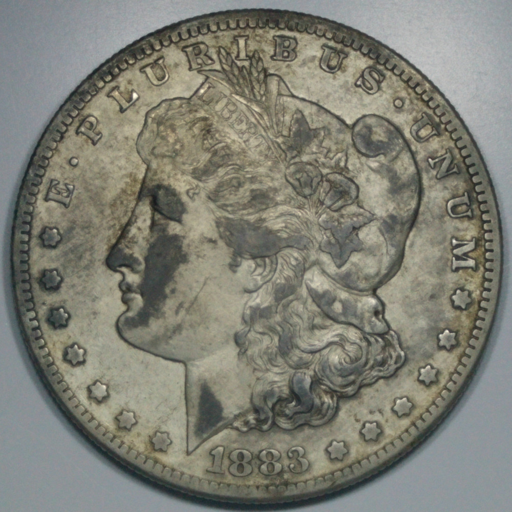 1883-S-Morgan---Seeking-Advice-/-Comments