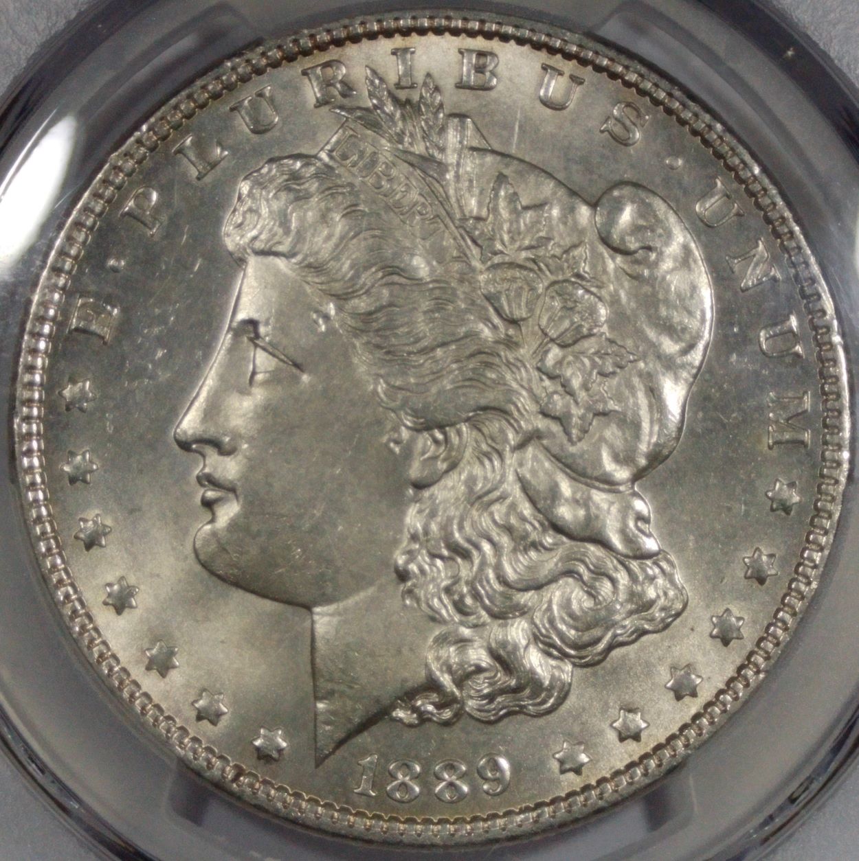 Grade-Guess---1889-Morgan
