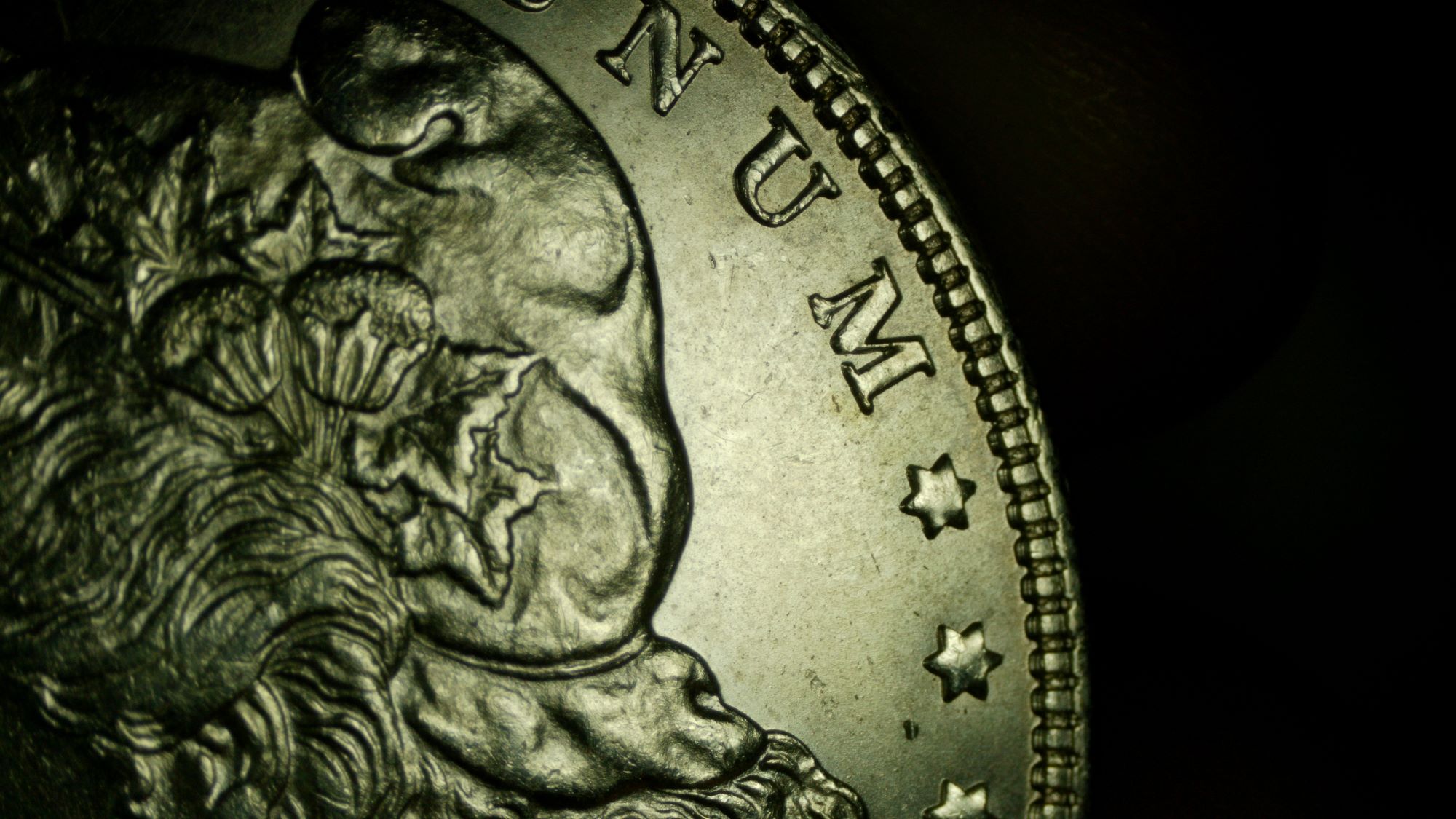 Grade-Guess---1889-Morgan