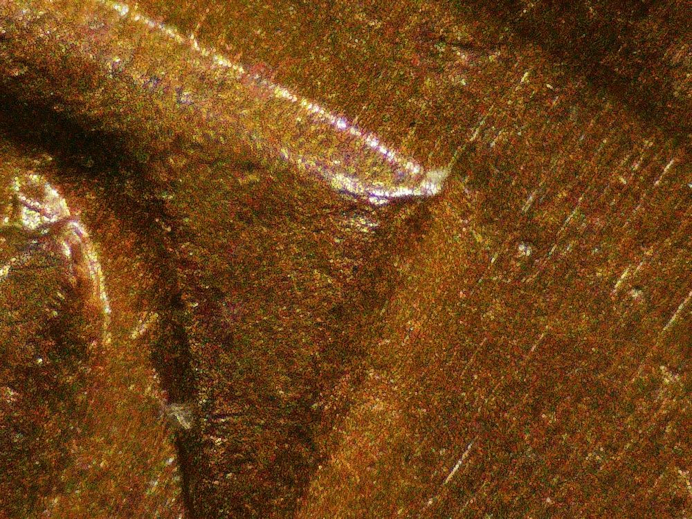 1847-Large-Cent---Opinions-Please
