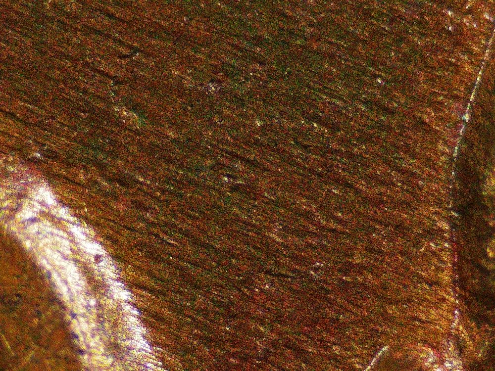 1847-Large-Cent---Opinions-Please