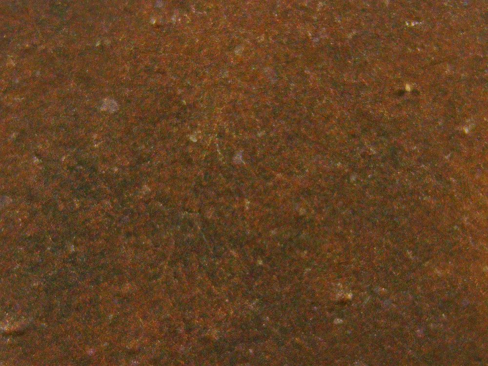 1847-Large-Cent---Opinions-Please