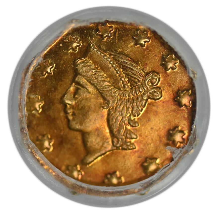 Continuing-List-To-Show-Everyones-Latest-Acquisitions