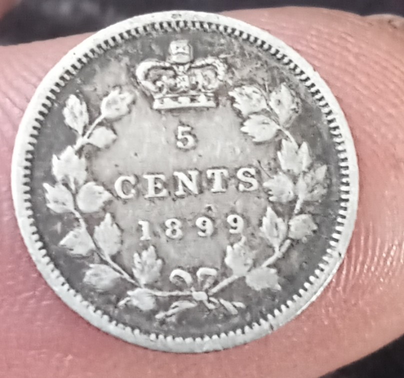 1899-5-Cent-Fish-Scale-Coin-For-Grading-Please