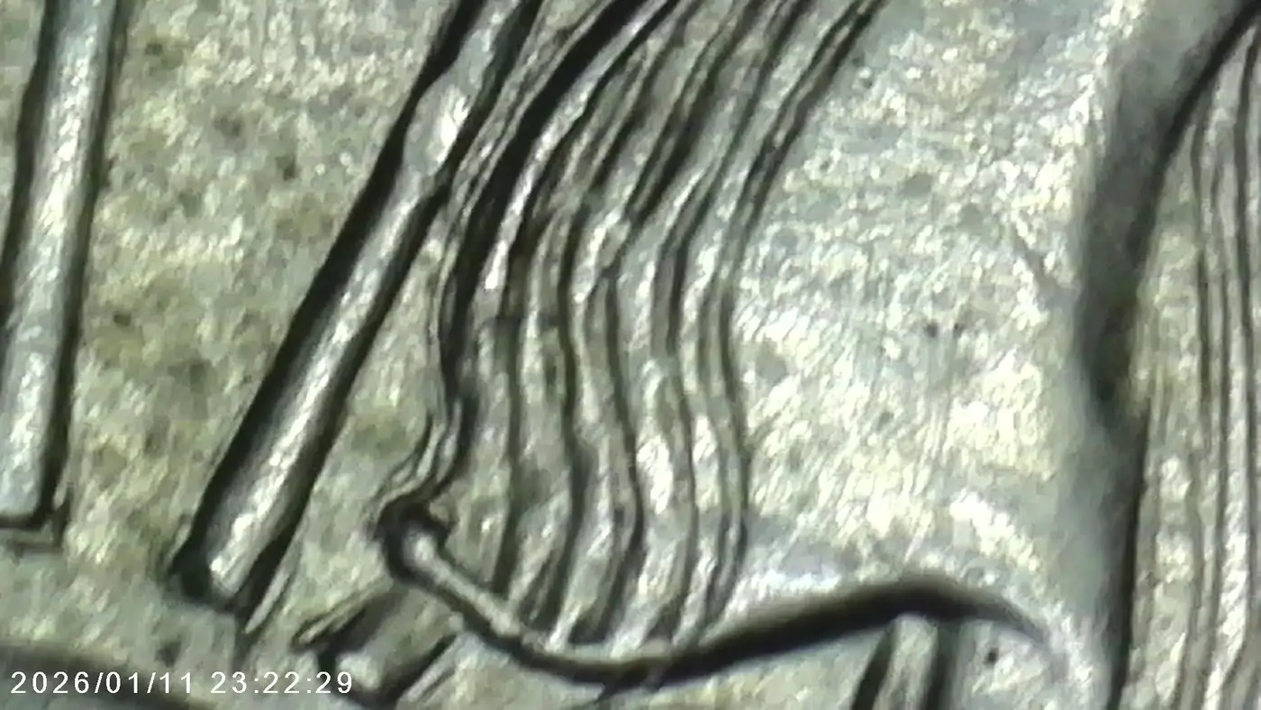 1939-Walking-Liberty-Half-Dollar---Possible-Die-Crack-/-Die-Chip?-Looking-For-Opinions