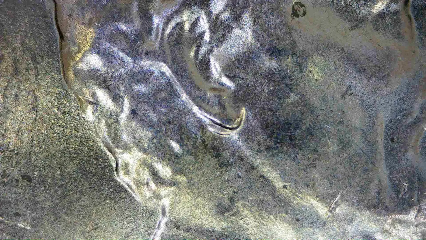 Found-In-Change-2024-LSC-VDDO-002