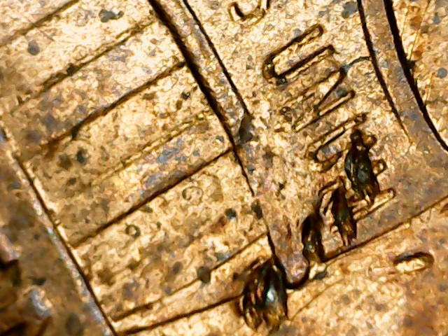 Lincoln-Shield-Cent-Error?