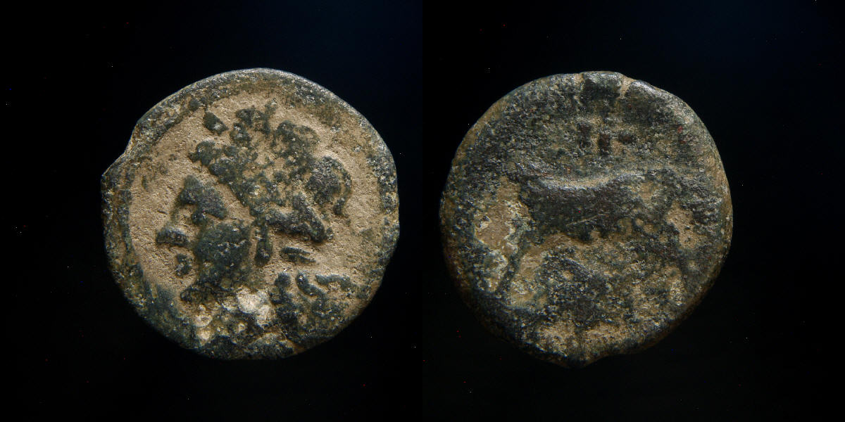 Greek,-Other?...-Help-With-ID