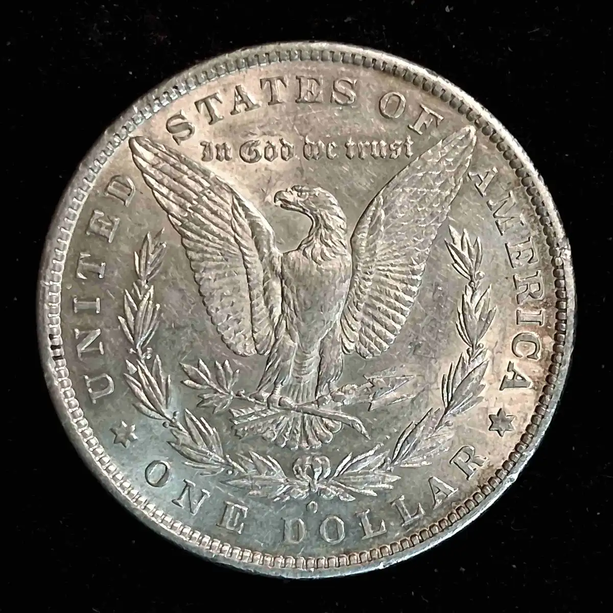 1880-O-Morgan-Dollar-Grading-Opinions.