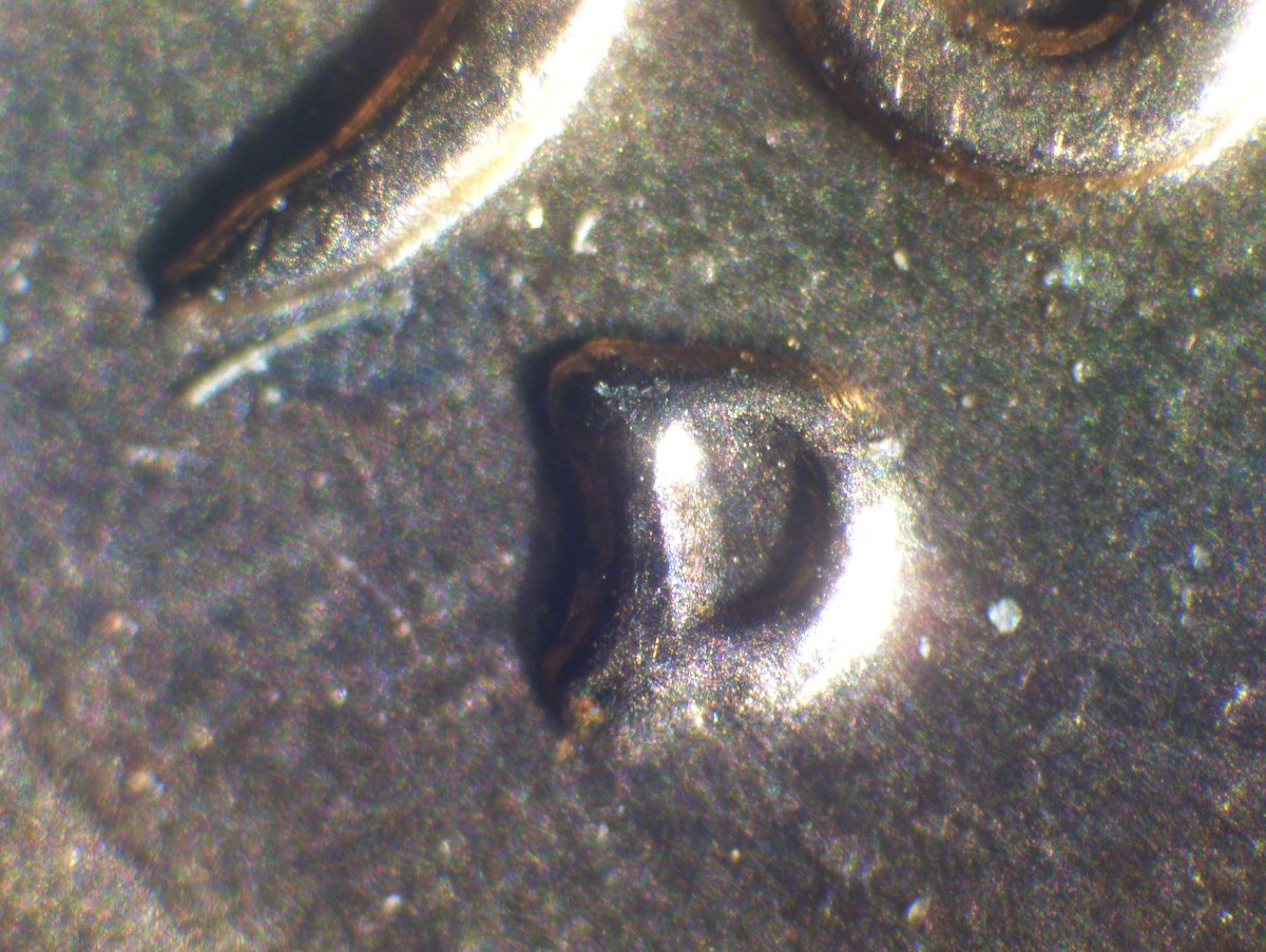 1961-D-LMC-RPM-Possibly-1-MM-081