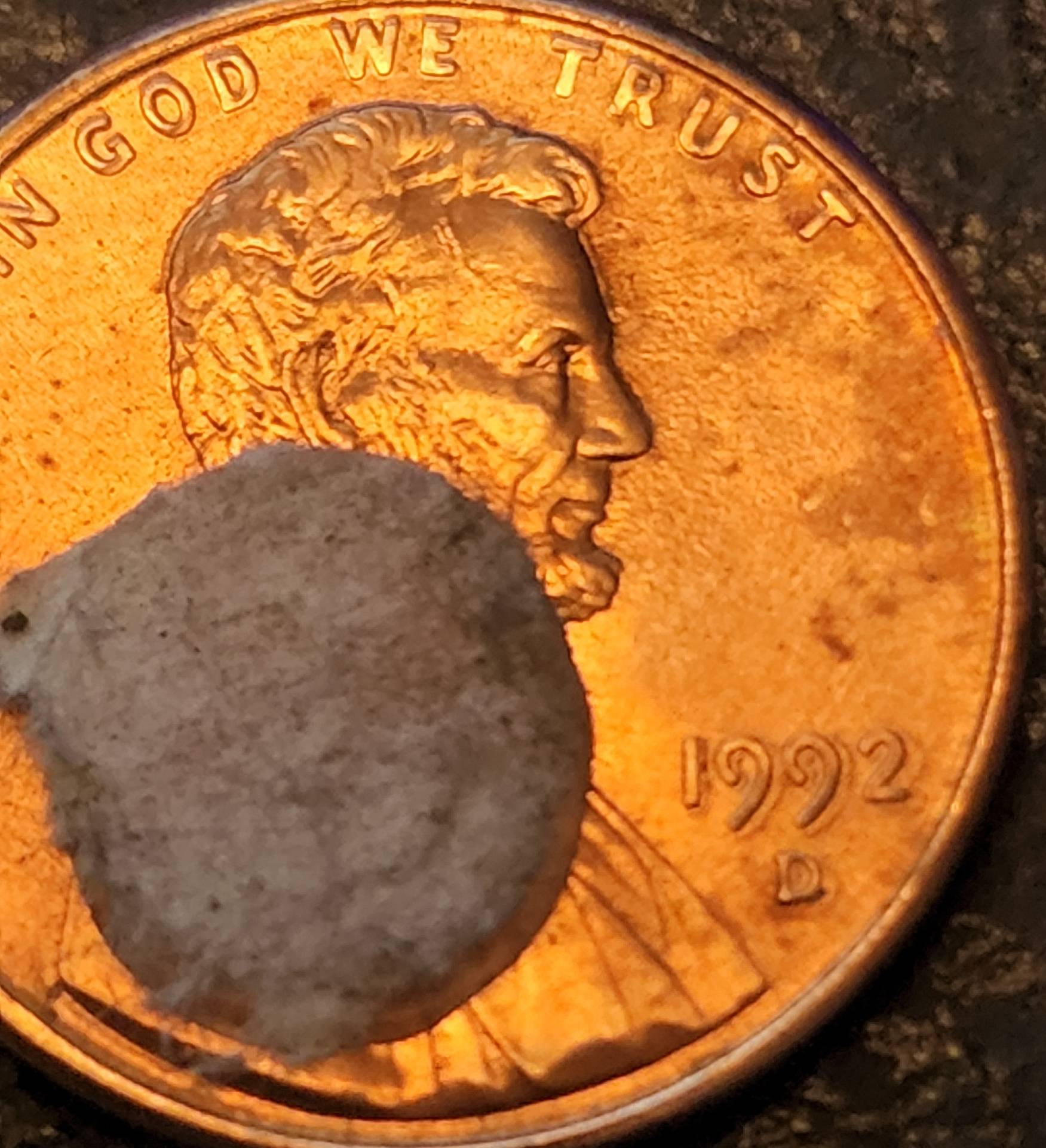 1992-Lincoln-Memorial-Cent-Doubled-Die-Roll-Hunting-Find