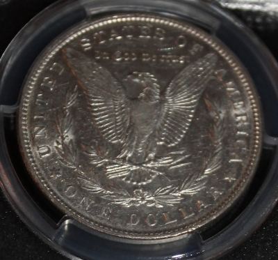 1893-Morgan-PCGS-Vs-CCF