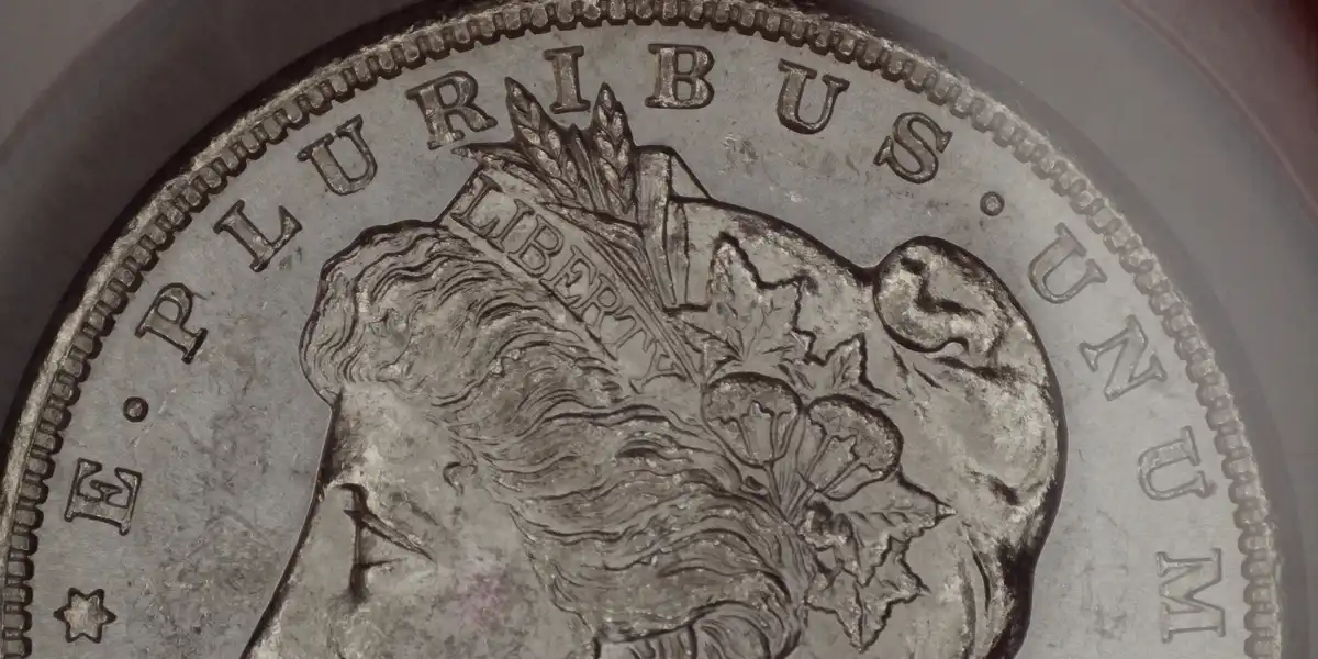 1880-S-Morgan-Silver-Dollar-WDDR-001