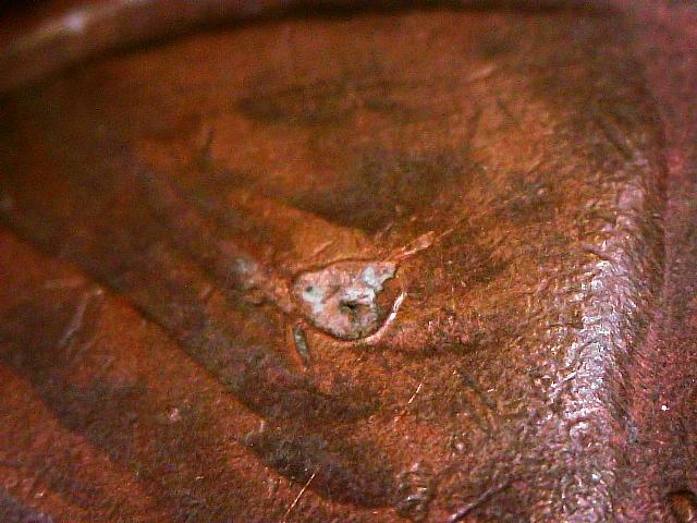 Found-A-1982-P-Button-Eye-Penny