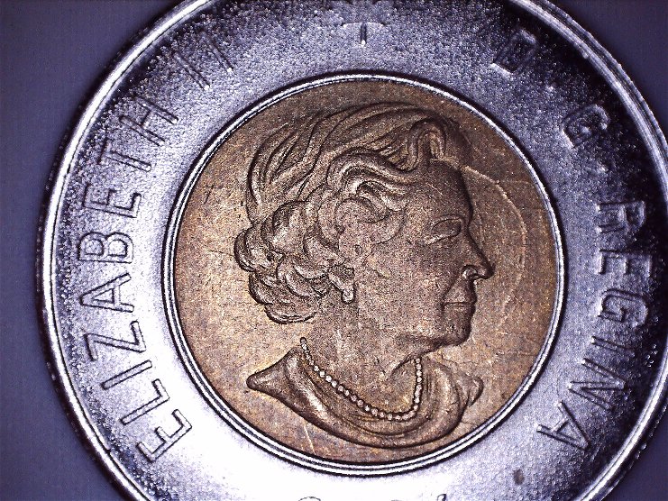 Canadian-2$-2006--Bear-Imprint-On-Portrait-Side