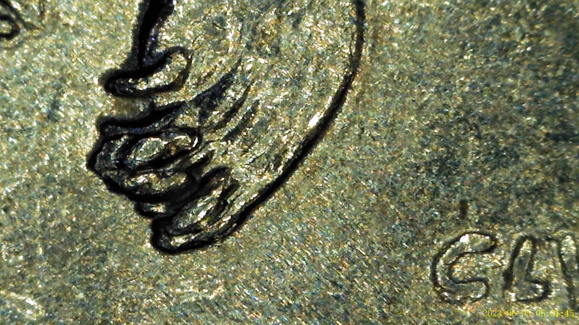 2008-Alaska-State-Quarter-Claw-Full-Die-Chips