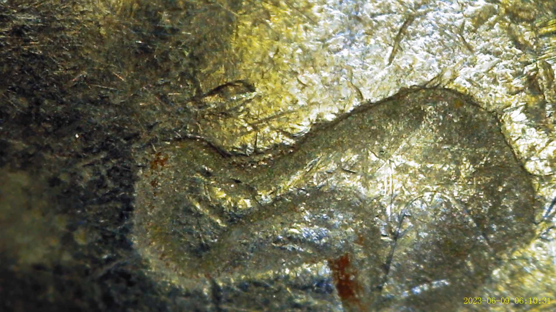1976-Bicentennial-Quarter-Obverse-Unusual-Neck-Appearance